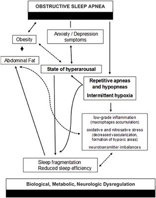 Editorial: The Complex Interaction Between Biological, Metabolic and Neurologic Dysregulation in Obstructive Sleep Apnea